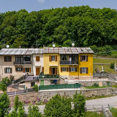 Rosmary42 Boschetto * Bosco Chiesanuova